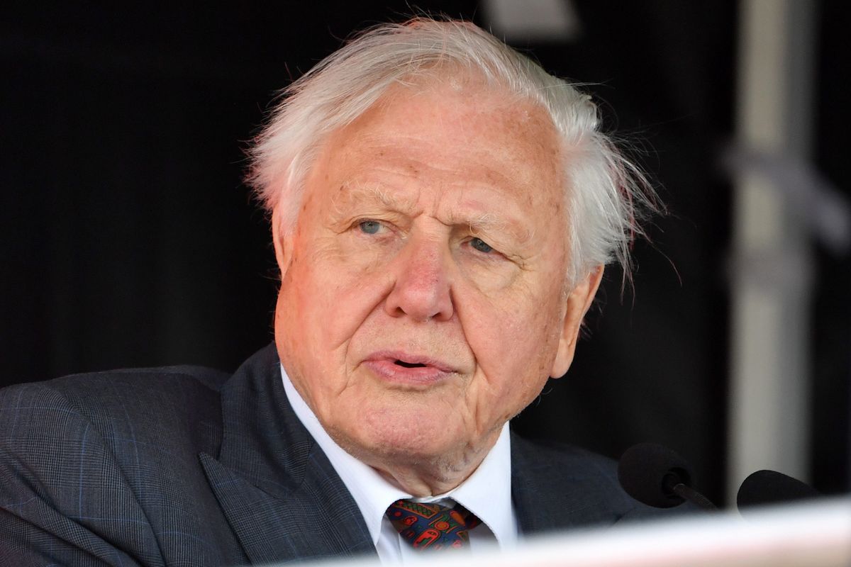 David Attenborough a hosszú élet nyomában.