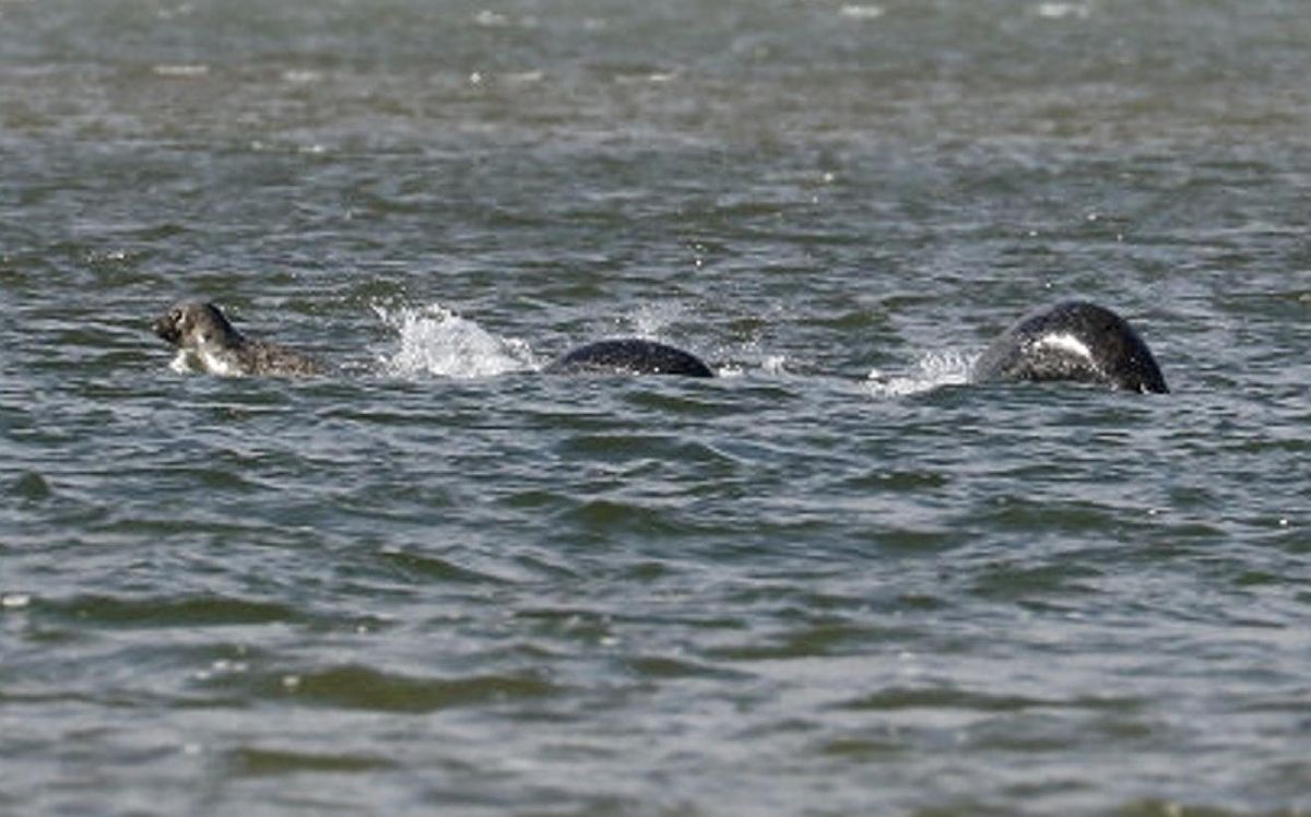 Loch Ness