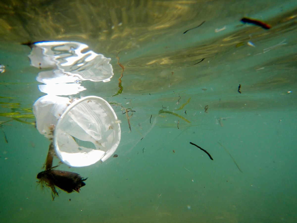 Plastic waste underwater in the Saint Maria di Castellabate