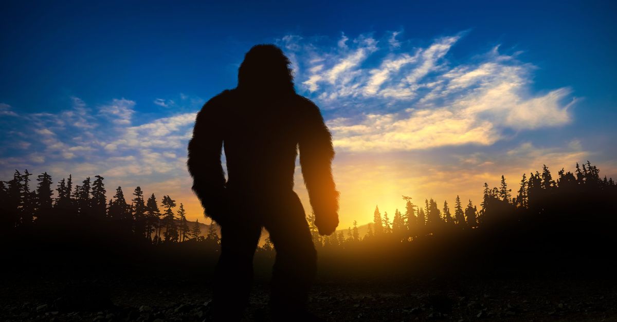 Bigfoot,Really,Exists.,Bigfoot,Silhouette,In,The,Woods.