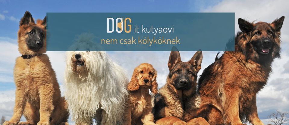 DOG-it-ingyenes-kutyaovi-nem-csak-kolykoknek