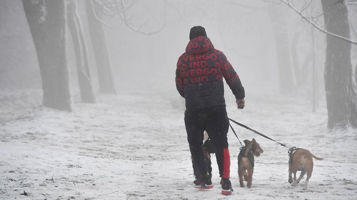 30 fokos lehűléssel megérkezett a hóesés – Videó
