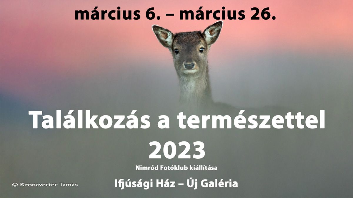 Találkozás a természettel 2023 - Nimród Fotóklub kiállítása