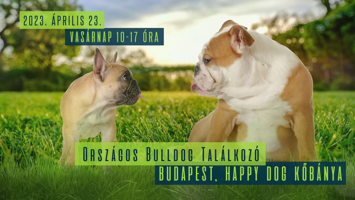 Orszagos-Bulldog-Talalkozo-2023