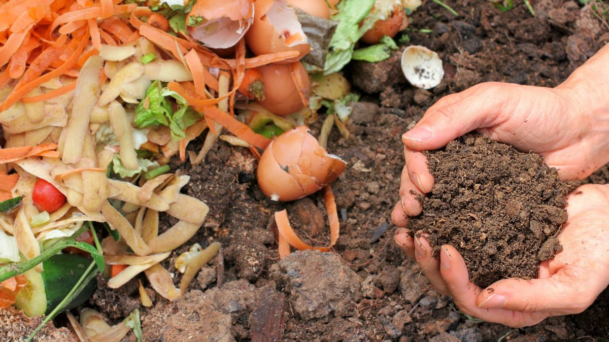 Compost,With,Composted,Earth, Komposztáló láda, komposztálás, kert, udvar, környezet, gazdaság, 
