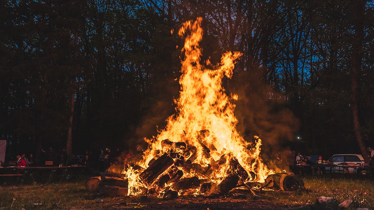 Bonfire,Burning,Trees,At,Night.,Large,Orange,Flame,Isolated,On