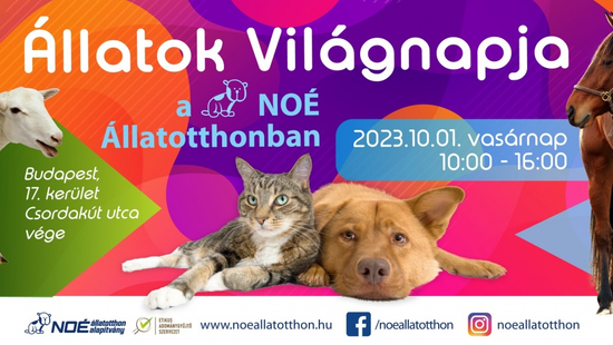 Jubileumi állatok világnapja a Noé Állatotthon Alapítványnál Jubileumi állatok világnapja a Noé Állatotthon Alapítványnál