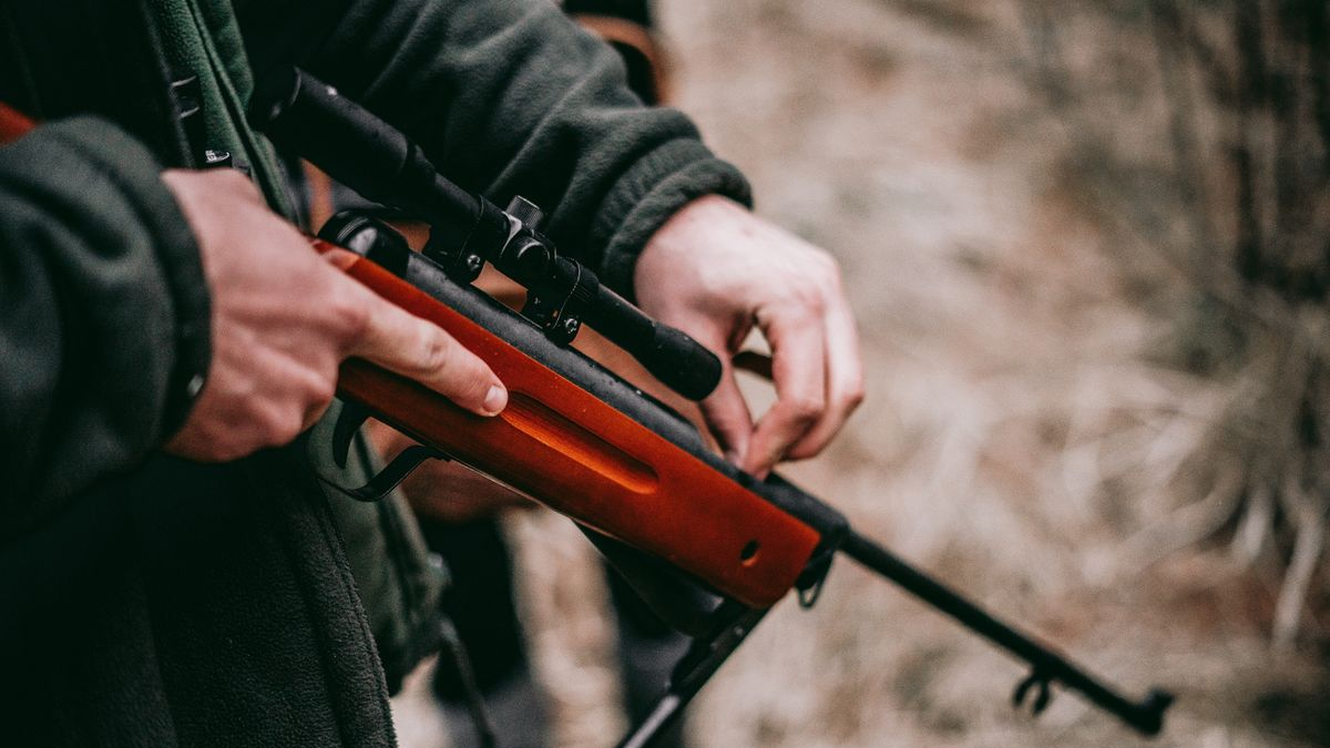 Döbbenetes baleset a Bükkben: vadász lőtt meg egy túrázót
