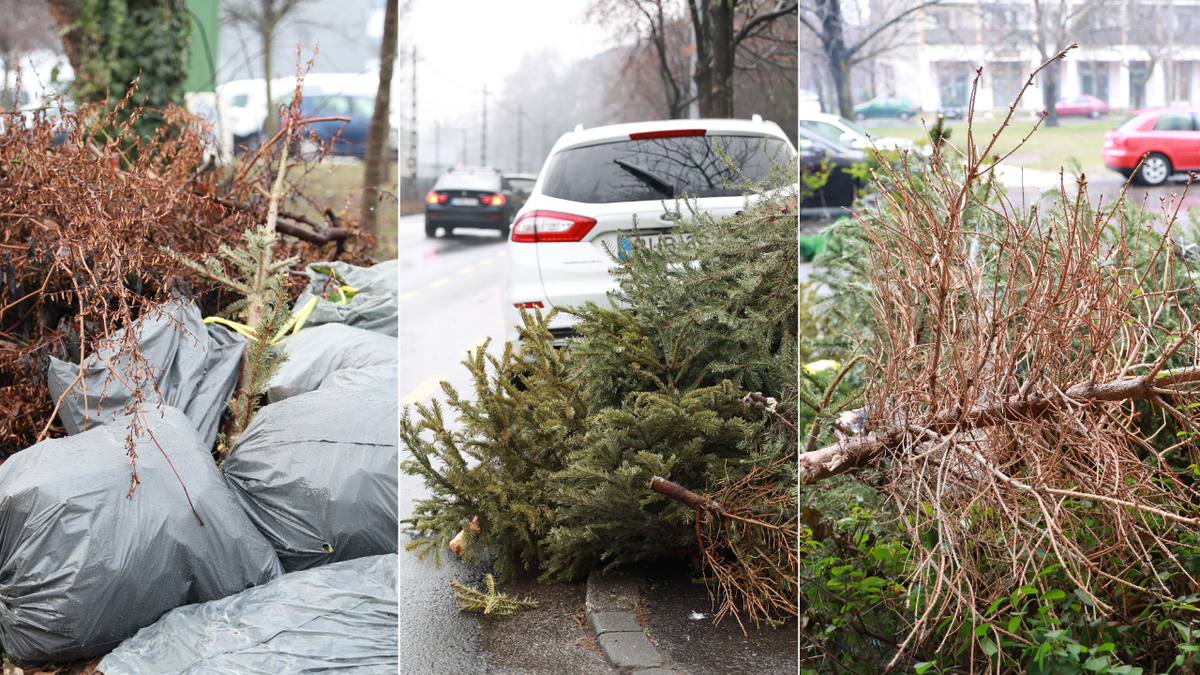 Ellepték a kidobott fenyők és a szemét a várost: megint sztrájkolnak a dolgozók? – Fotók