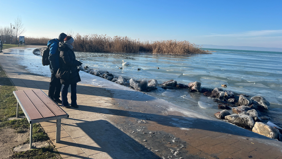 Olyan lény mászott elő a jeges Balatonból, senki nem hitt a szemének – Videó