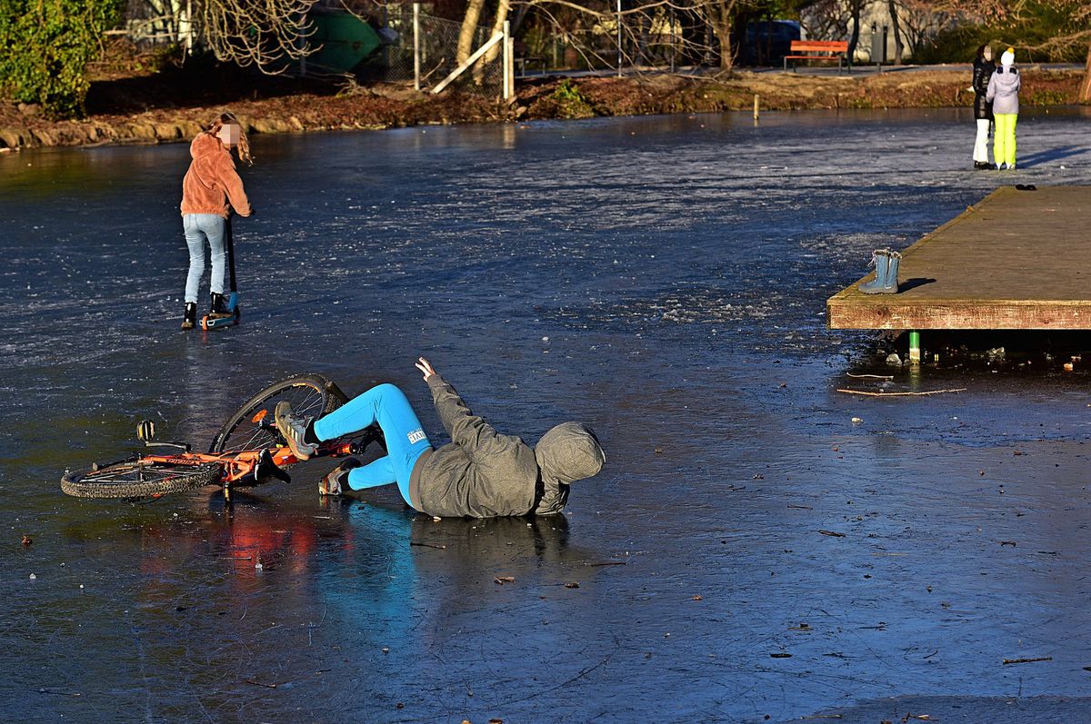 Amatőr fotós lőtte a tél egyik legviccesebb képét? Igen! / Fotó: Lengyel Zsolt 