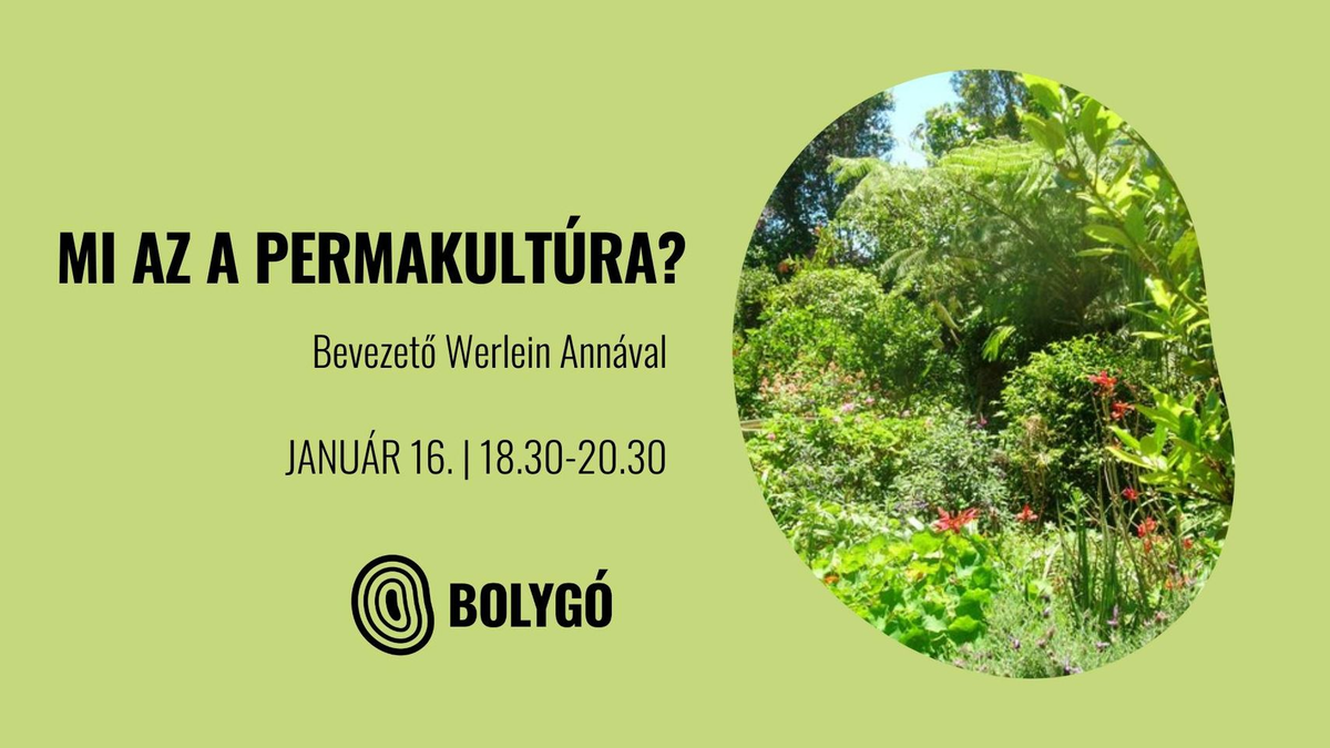 Mi az a permakultúra? - Tudd meg most!