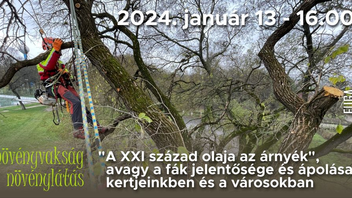 A XXI század olaja az árnyék - avagy a fák jelentősége