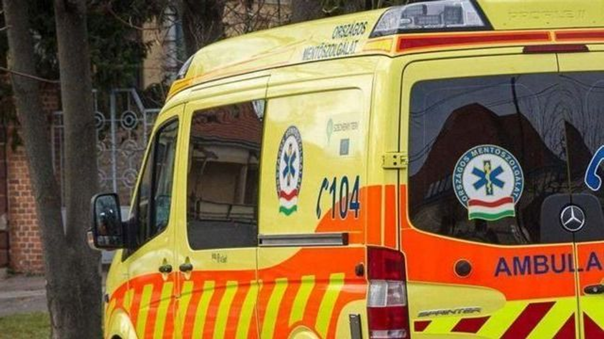 Rohantak a mentők: jeges vízben merült el két kislány Szegeden