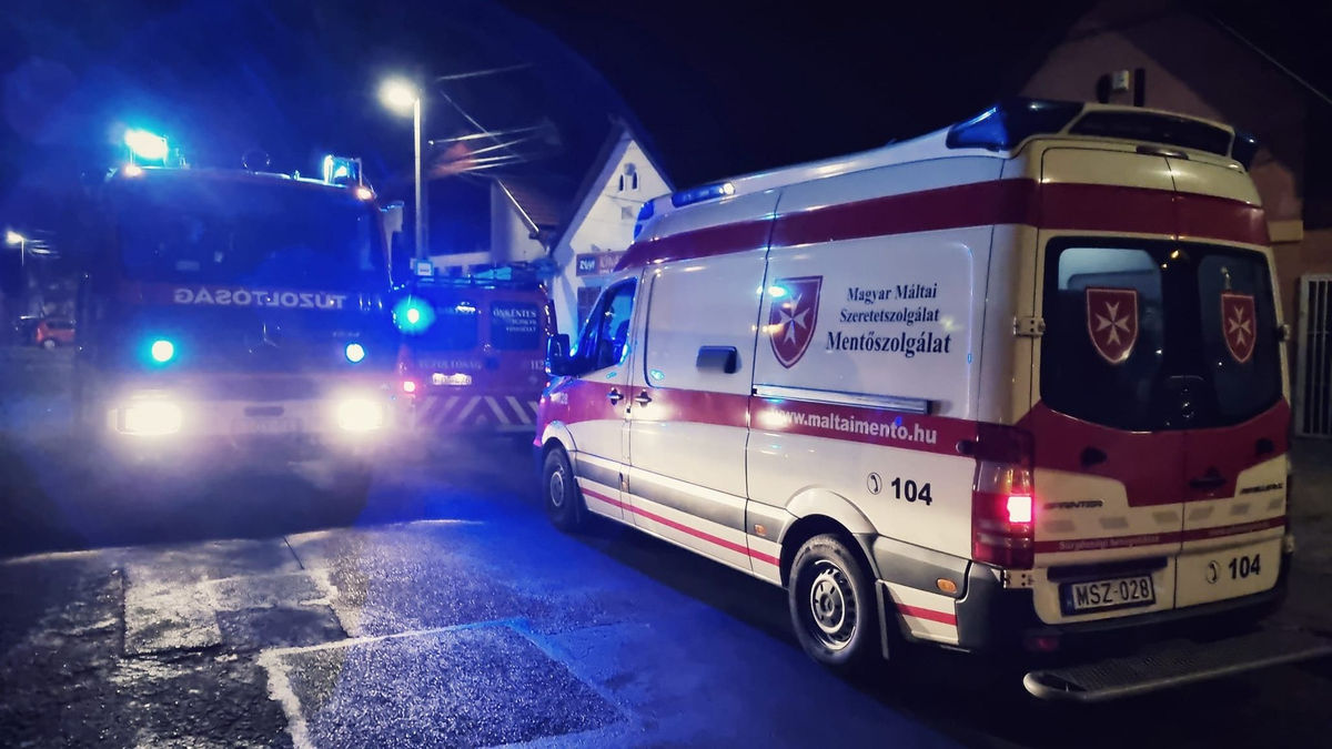 Szirénázva érkeztek a mentőcsapatok: fába szorult nőt mentettek Budakeszin