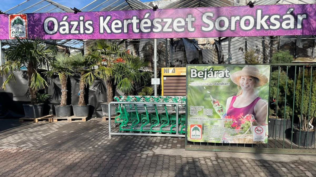 Óriási örömhírt jelentett be a nemrég leégett Soroksári Oázis