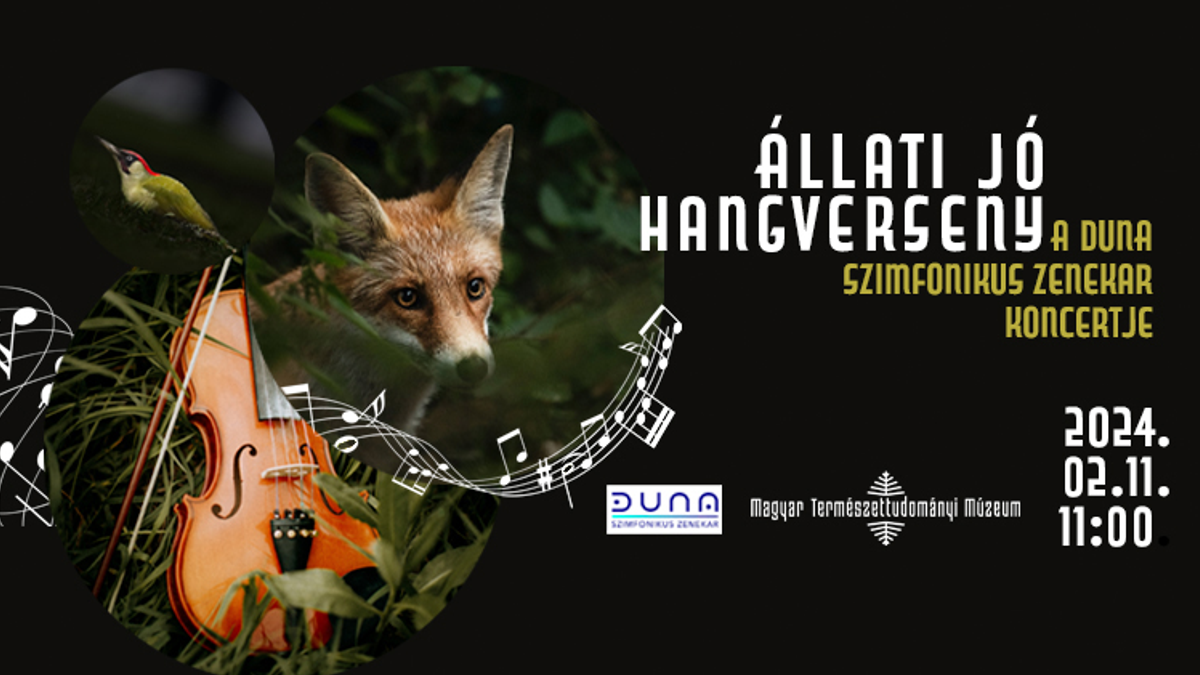 Állati jó hangverseny - koncert a múzeumban