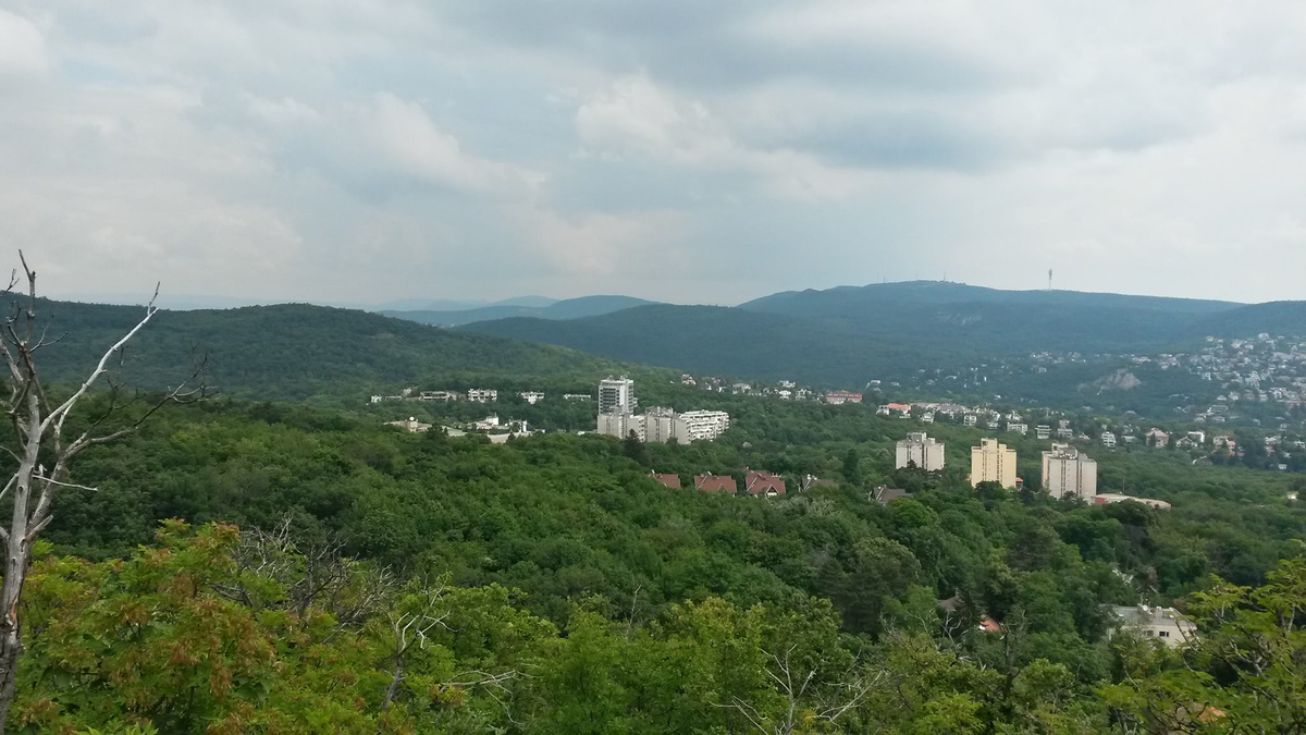 Tegyél egy rövidebb túrát a Budai hegységben!