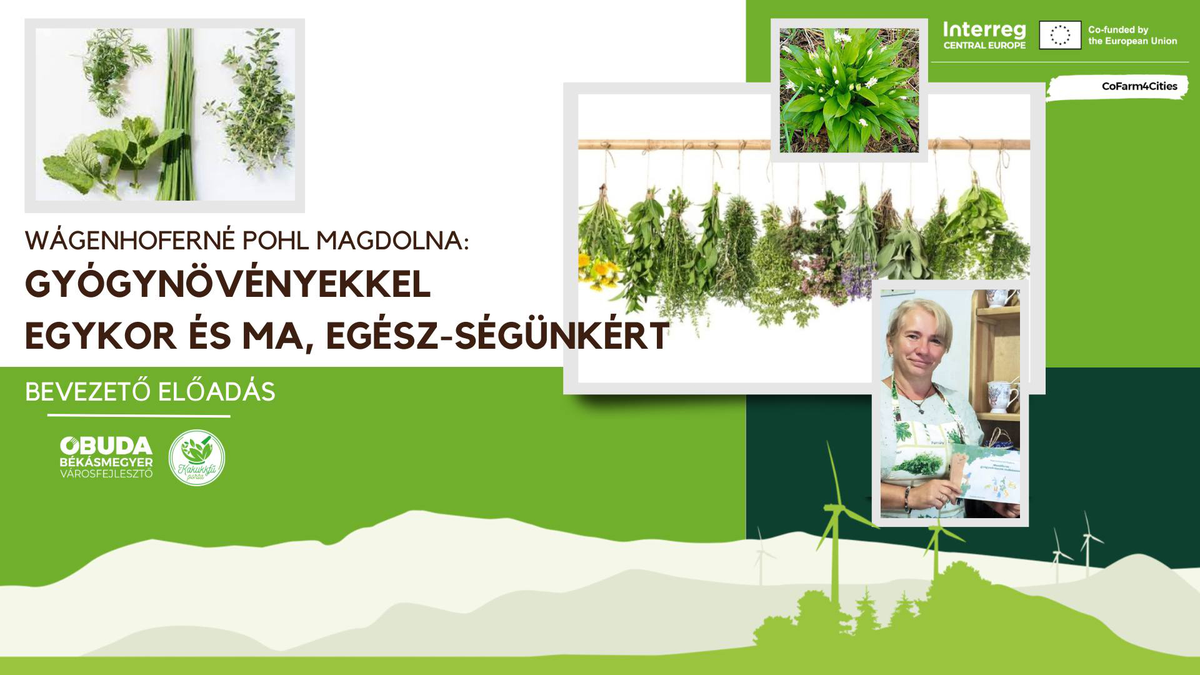 Bővítsd a házipatikádat! - egy füvesasszonytól tanulhatsz