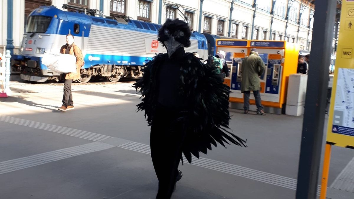 Varjúnak öltözött valaki Budapesten, napokig találgatták az emberek, miért / 