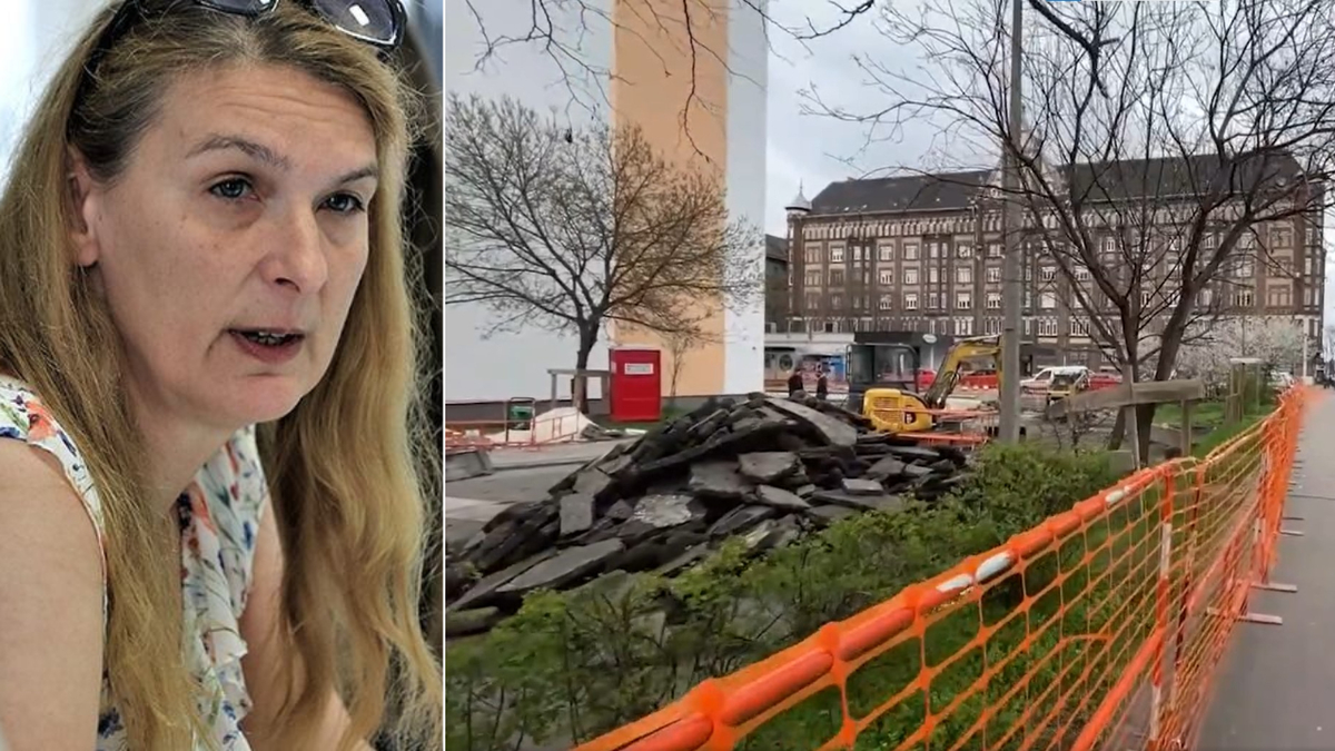 Park és kutyafuttató 70 millióért: a helyiek nem akarják, de Baranyi csak azért is keresztülnyomja