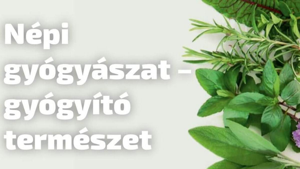 Ismerd meg a tavasz első gyűjthető gyógyfüveit!