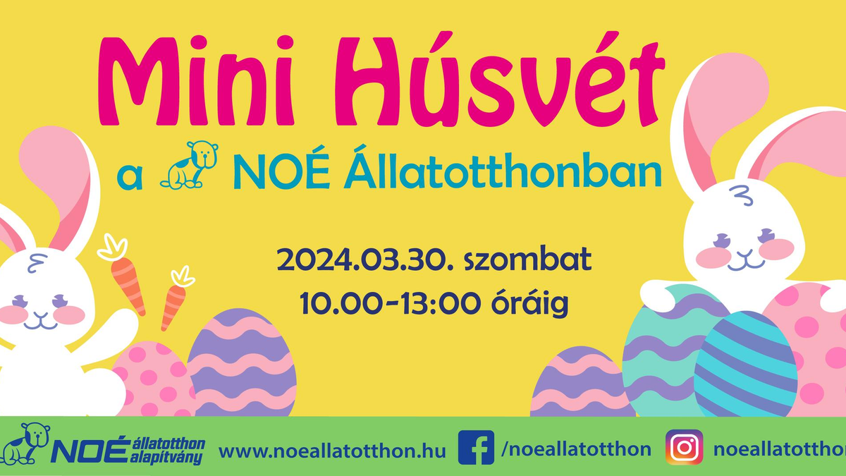 Mini Húsvét a NOÉ Állatotthonban!