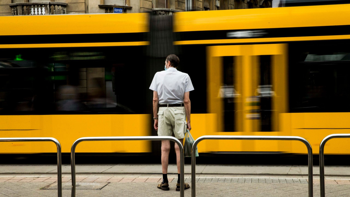 „Már meg sem lepődünk az ilyenen" – Hihetetlen, milyen állat szaladgált a 4-6-os villamoson