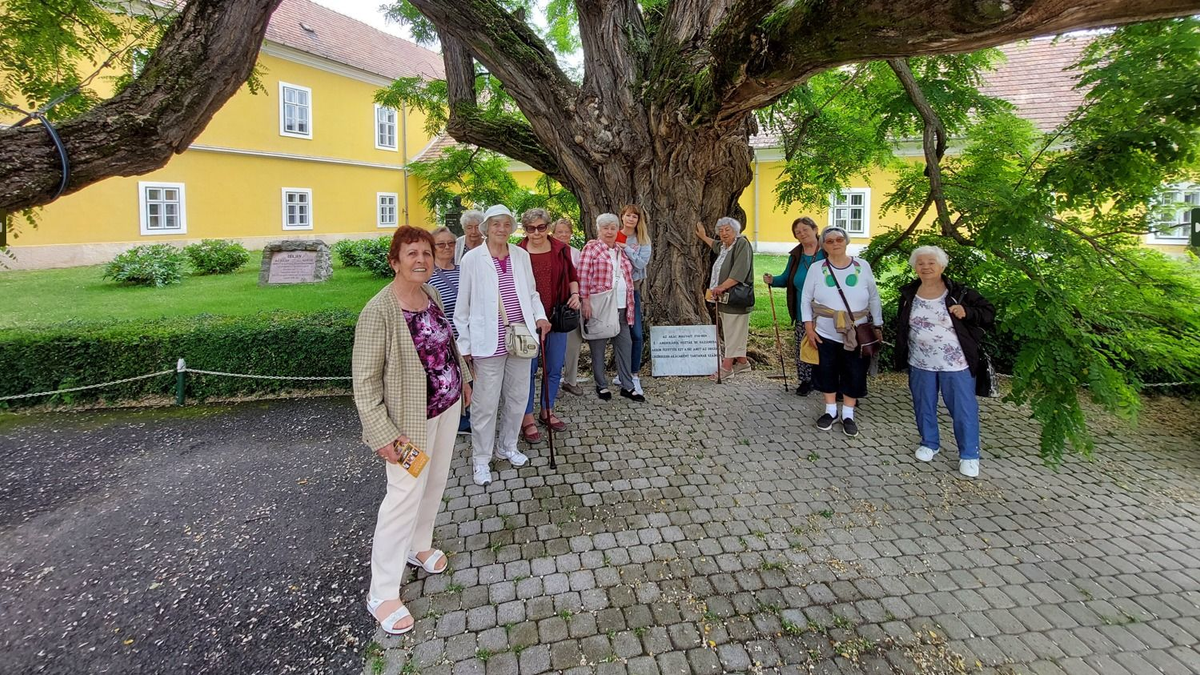Tavasz az Olajág Otthonokban (X)