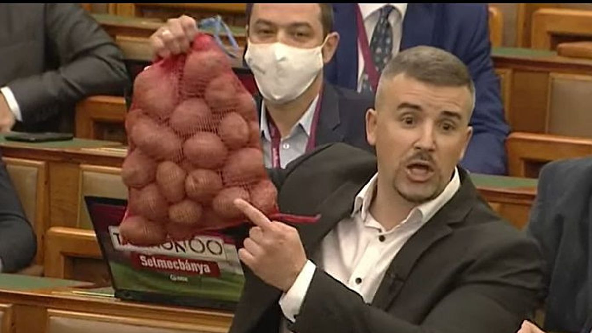 "Krumplis" Jakab Péter javaslatát vette elő "Talpra" Magyar Péter