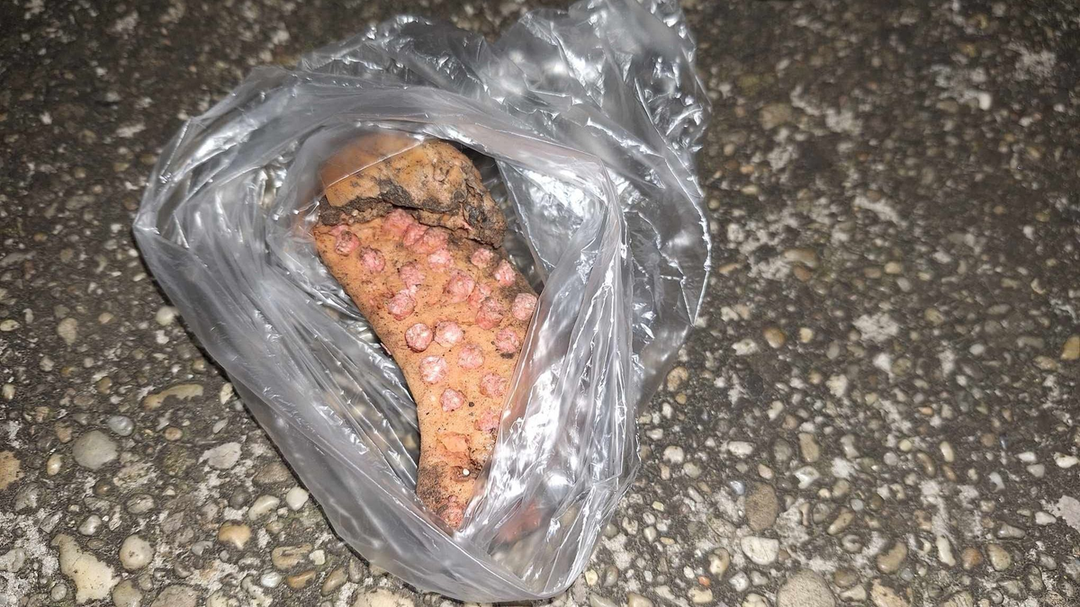 Nem állnak le az állatkínzók, ezúttal a Bikás parkból jelentettek mérgezéseket