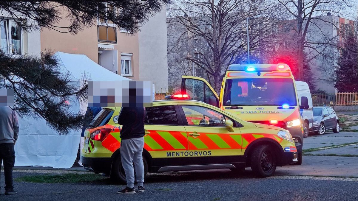 A tizedik emeletről zuhant le, meghalt egy nő Szombathelyen - Fotók