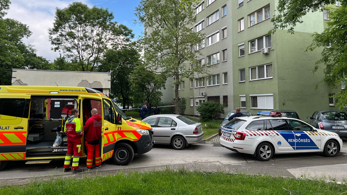 Csepeli horrorpanel: halála előtt meztelenül sétálgatott az ablakon kiugró, fiatal nő