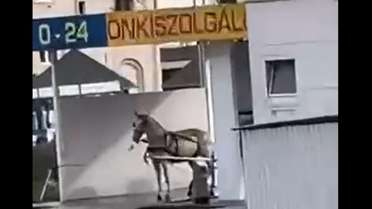 Döbbenetes látvány fogadta egy salgótarjáni autómosó vendégeit – Videó!