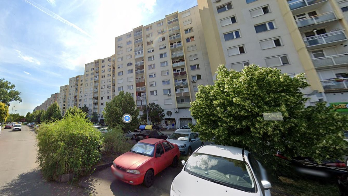 Szétszórt, mérgezett csontokat találtak a Havanna-lakótelepen - Fotó!