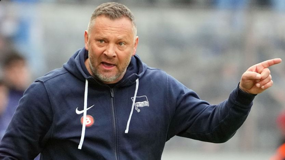 Kiakadtak a Herthánál, Dárdai keresztbe tett a klubnak