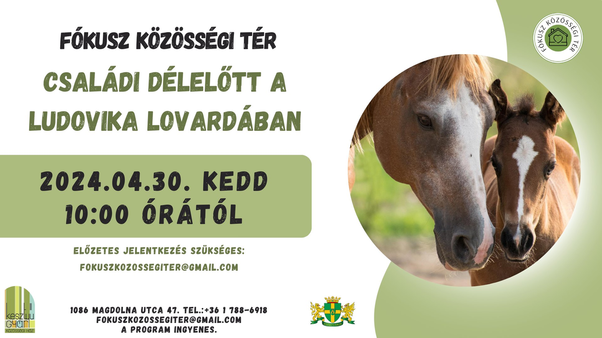 Családi délelőtt a Ludovika Huszár Lovardában