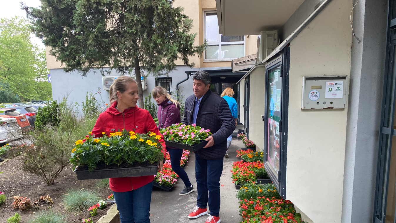 A Szomszédok Vágási Ferije és Király Nóra óvodát, iskolát, társasházakat borítanak virágba Gazdagréten