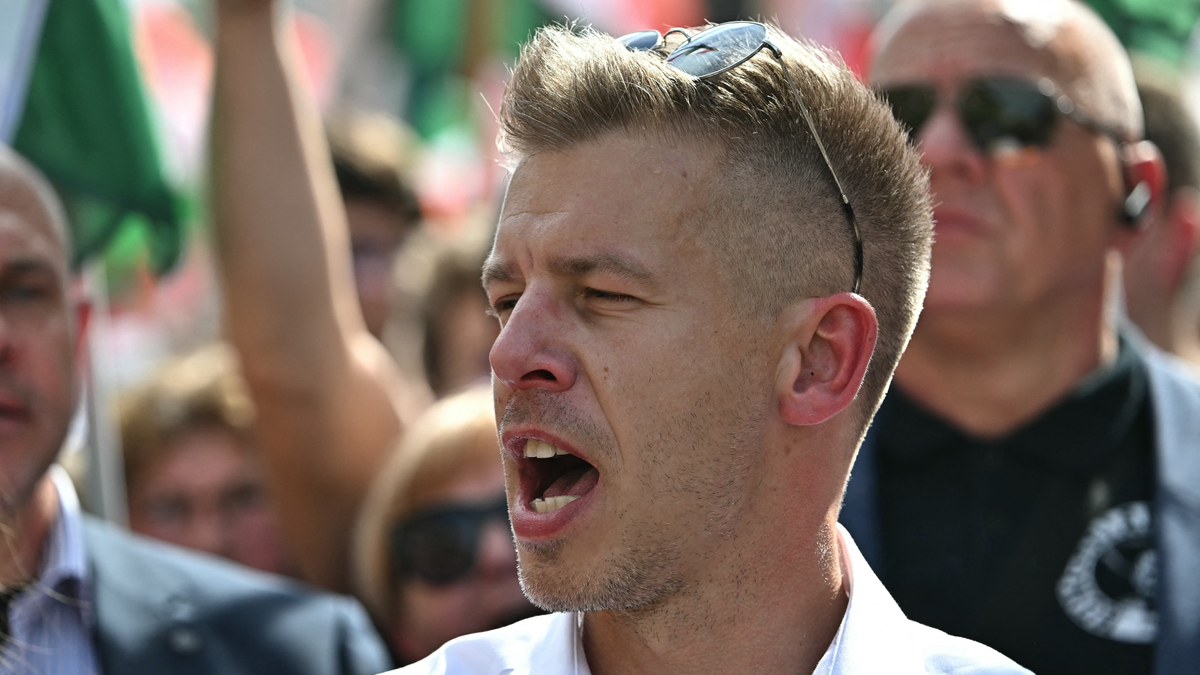 Magyar Péter tüntetését a guruló dollárbotrány egyik cége szervezte