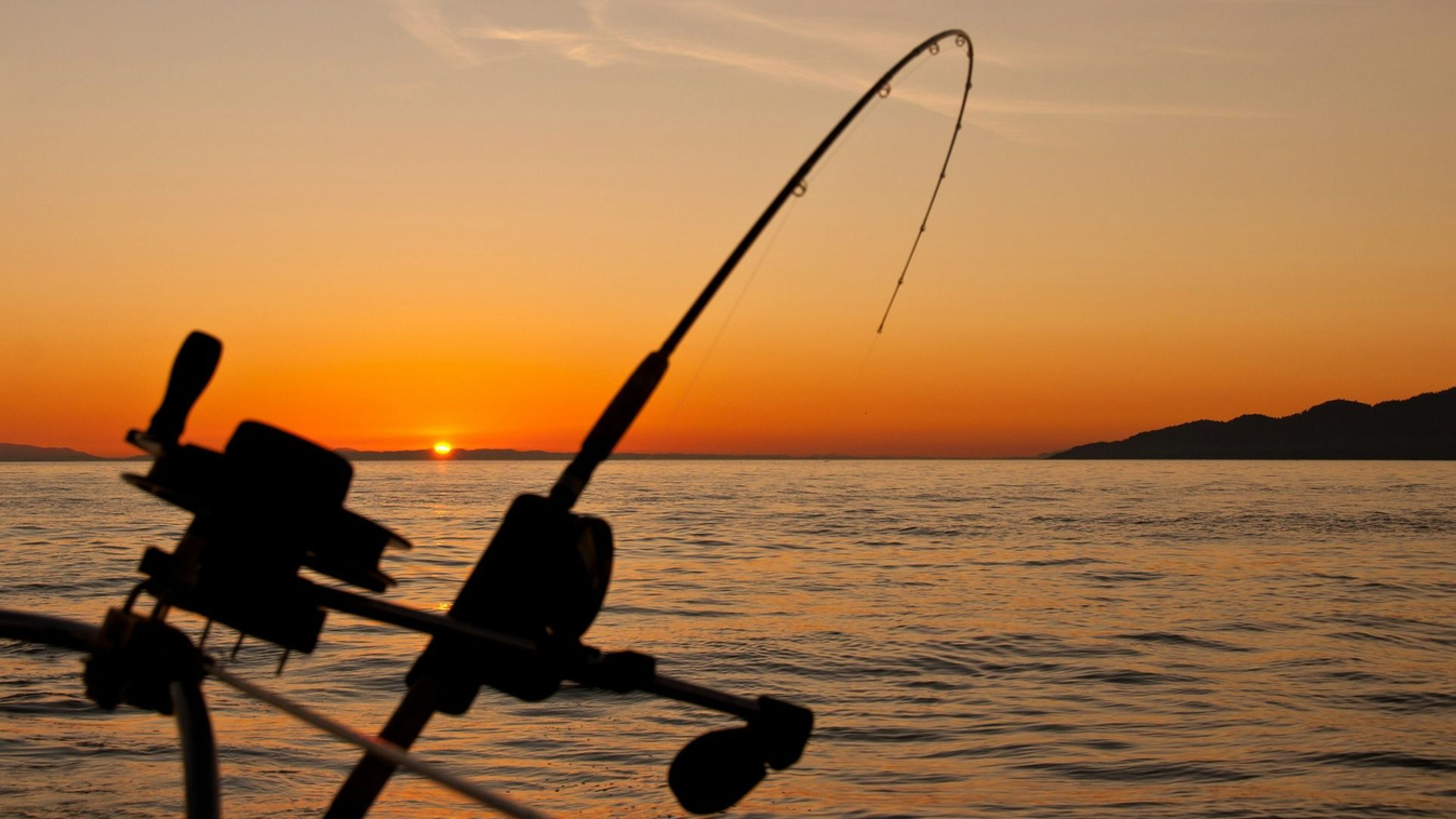 Megdőlhet a balatoni pontyrekord: 25 ország horgászai veszik be a Balatont