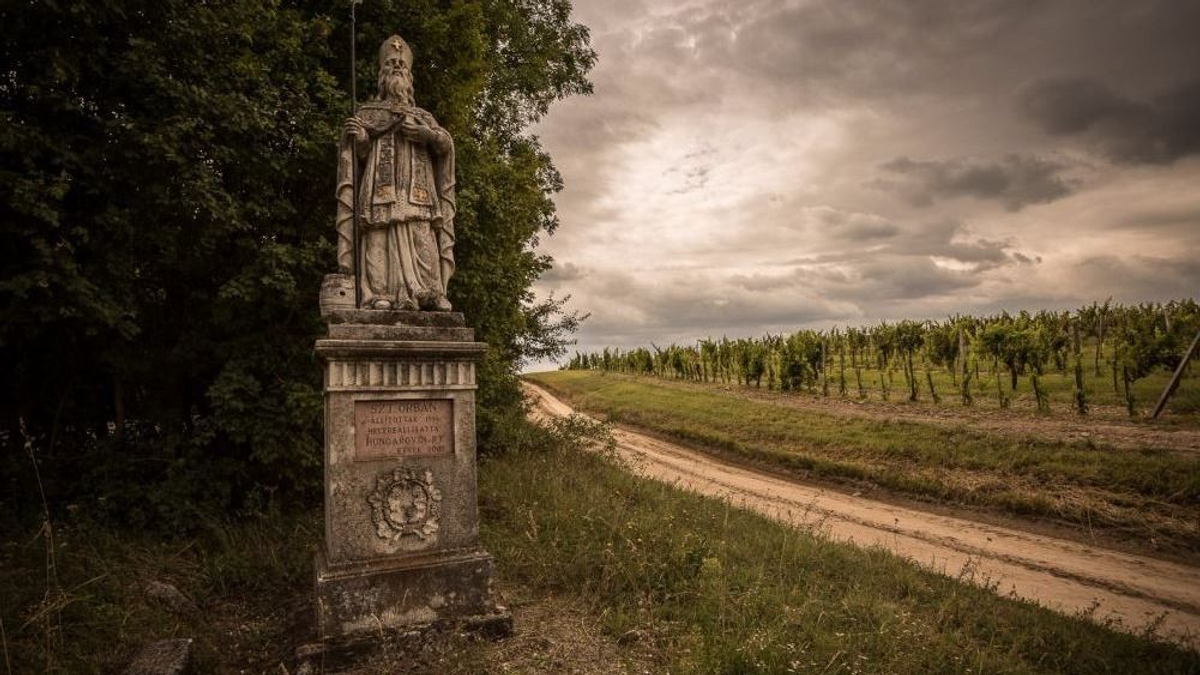 Megenyhültek a fagyosszentek – Már csak Szent Orbán hozhat fagyot