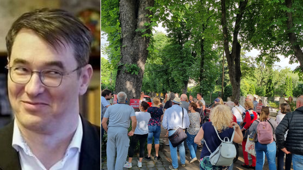 Kiakadtak az óbudaiak: Tüntetéssel akarják megakadályozni, hogy Karácsony kivágassa a gesztenyefákat