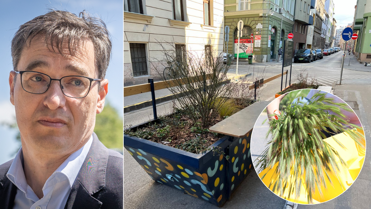 „Ez csak marketingzöldítés”: a tájépítész szerint nullával egyenlő, amit Karácsony Gergely zöldítés néven művelt