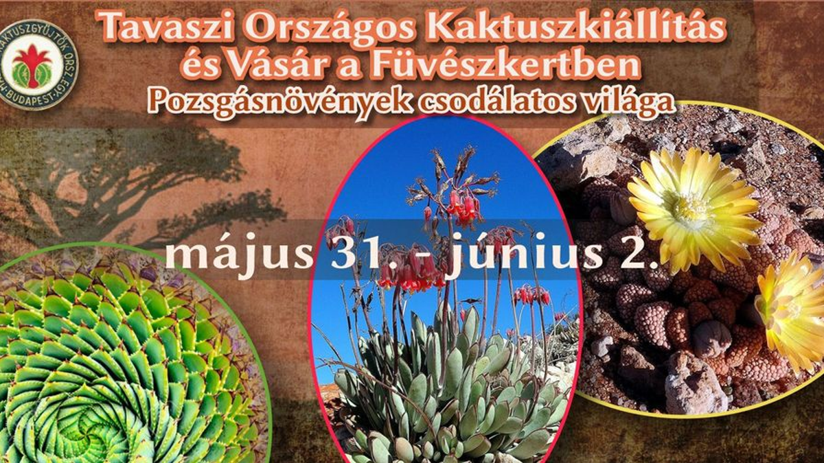 Kaktuszkiállítás és vásár a Füvészkertben