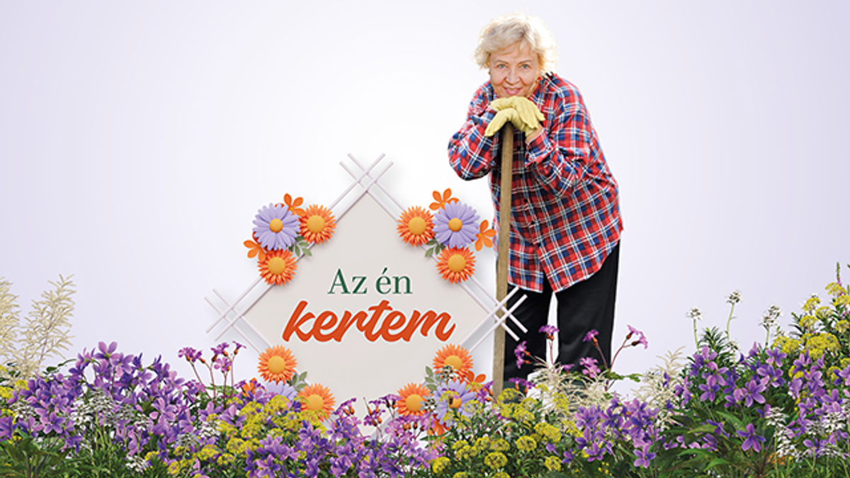 Az Én Kertem - A szavazók szeme szépíti a kertet
