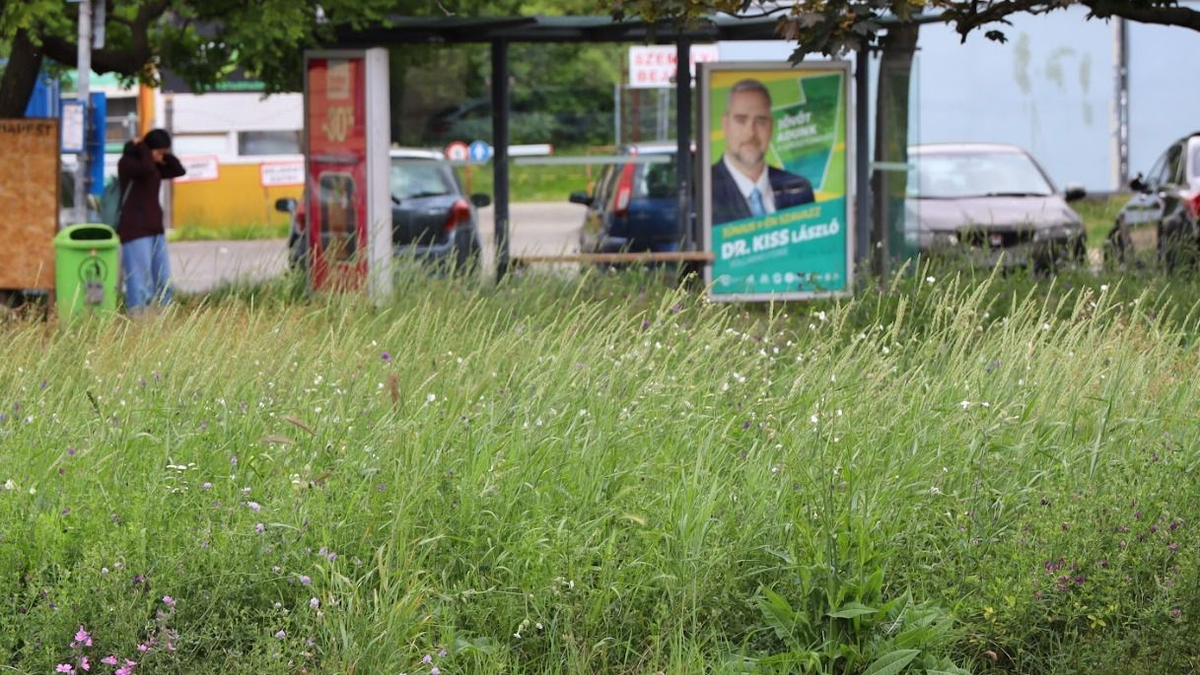 Óbuda elesett: gaztengerben úszik a kerület