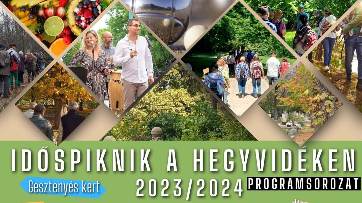 Séta a Normafán - erdőmérnök kíséri a résztvevőket!