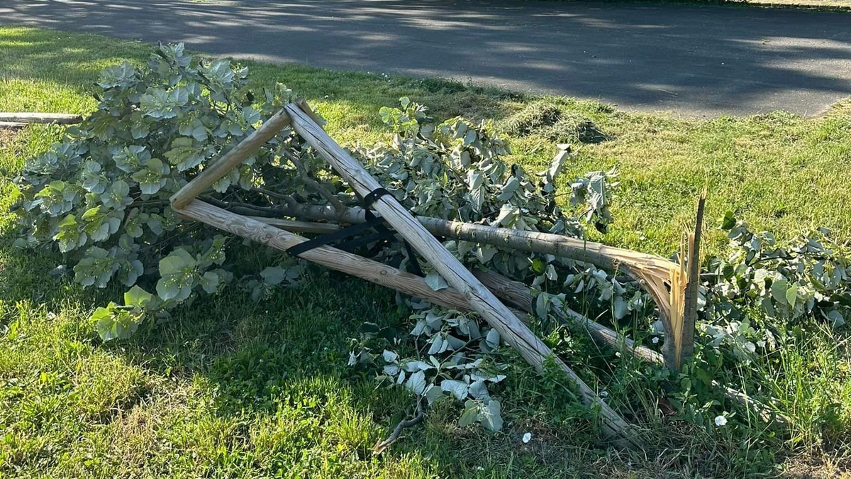 Döbbenetes vandalizmus – elfogták a férfit, aki brutális pusztítást végzett Óbudán