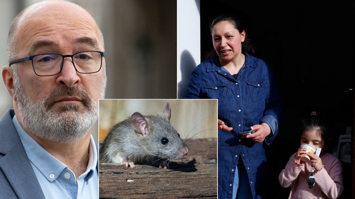 „Felhangosítjuk a tévét, így nem halljuk a patkányokat!” – Így néz ki a Pikóék-féle lakásfelújítás