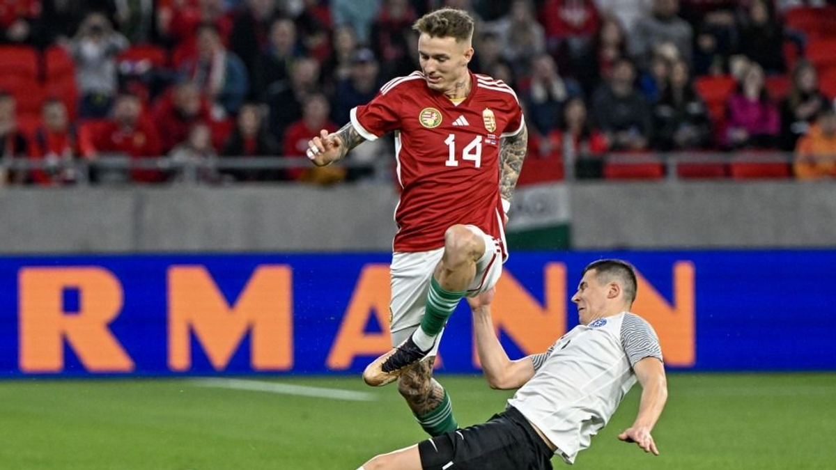 Bemutatjuk Marco Rossi csapatát, három érdekesség Bolla Bendegúzról